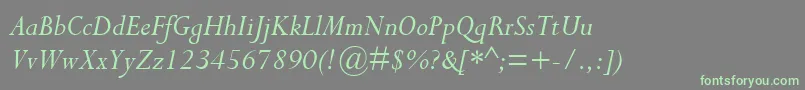 CompleatSsiItalic Font – Green Fonts on Gray Background