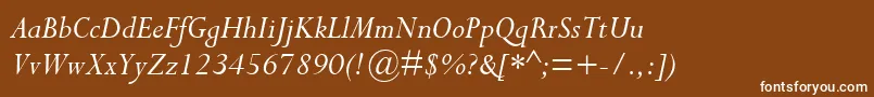 フォントCompleatSsiItalic – 茶色の背景に白い文字