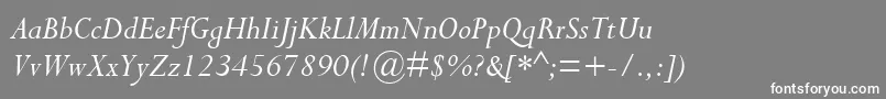 フォントCompleatSsiItalic – 灰色の背景に白い文字