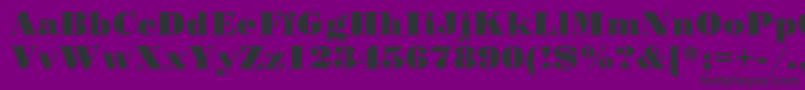 SanasoftPoster.Kz Font – Black Fonts on Purple Background