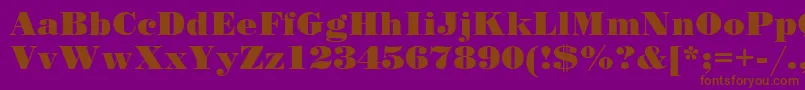 SanasoftPoster.Kz Font – Brown Fonts on Purple Background