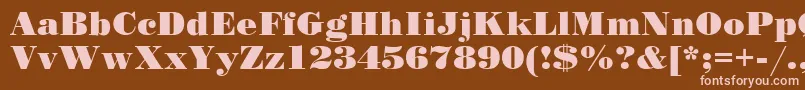 SanasoftPoster.Kz Font – Pink Fonts on Brown Background