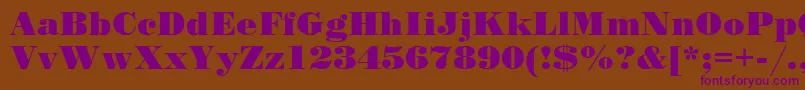 SanasoftPoster.Kz Font – Purple Fonts on Brown Background