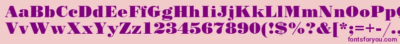 SanasoftPoster.Kz Font – Purple Fonts on Pink Background