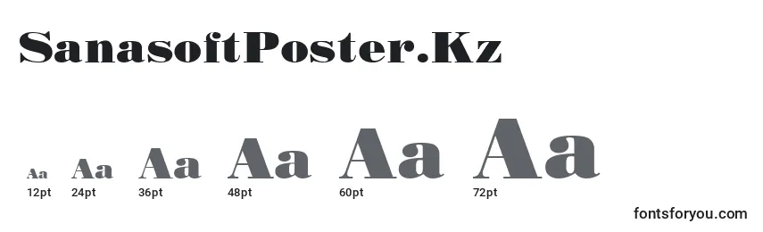 SanasoftPoster.Kz Font Sizes