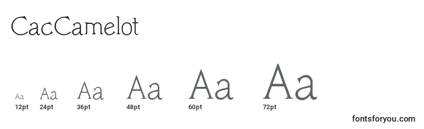 CacCamelot Font Sizes
