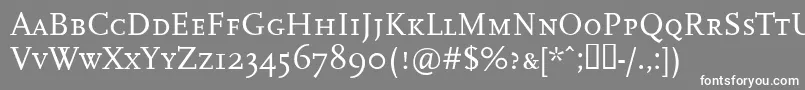 Ffscalacaps Font – White Fonts on Gray Background