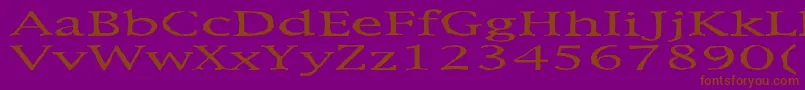 Metaphor Font – Brown Fonts on Purple Background