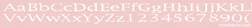 Metaphor Font – White Fonts on Pink Background