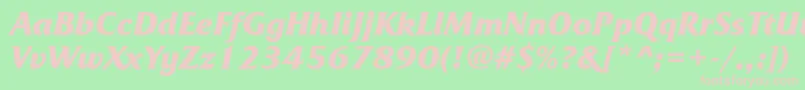 FrizquadrataettBolditalic-fontti – vaaleanpunaiset fontit vihreällä taustalla