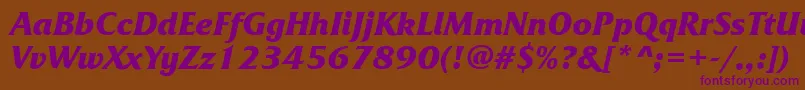 FrizquadrataettBolditalic Font – Purple Fonts on Brown Background