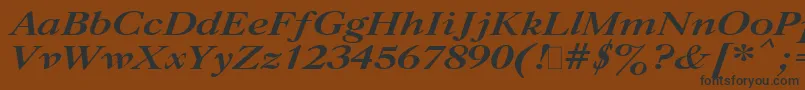 CaslonBoldItalic.001.001 Font – Black Fonts on Brown Background