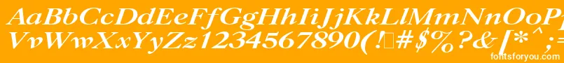 More about CaslonBoldItalic.001.001 Font CaslonBoldItalic.001.001 Font – White Fonts on Orange Background