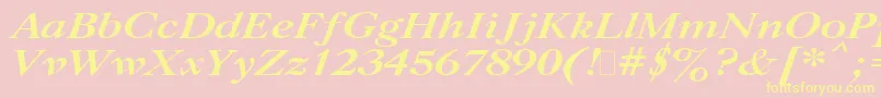 CaslonBoldItalic.001.001 Font – Yellow Fonts on Pink Background