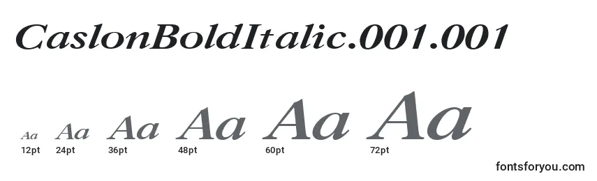 CaslonBoldItalic.001.001 Font Sizes