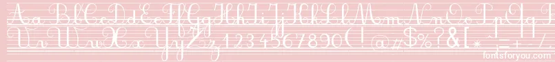 Seyesndl Font – White Fonts on Pink Background