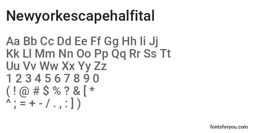 Czcionka Newyorkescapehalfital – alfabet, cyfry, specjalne znaki