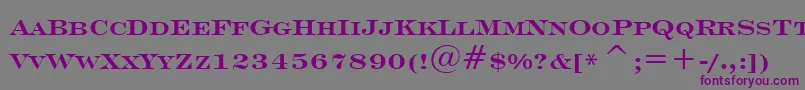 Шрифт Engrvrb – фиолетовые шрифты на сером фоне