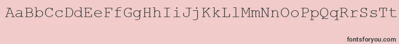 MsLinedrawRegular Font – Black Fonts on Pink Background