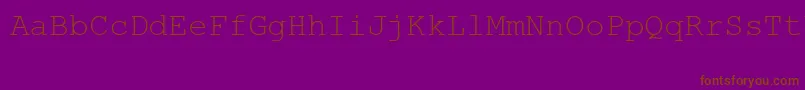 MsLinedrawRegular-Schriftart – Braune Schriften auf violettem Hintergrund