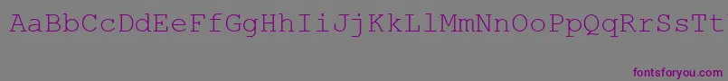 MsLinedrawRegular Font – Purple Fonts on Gray Background