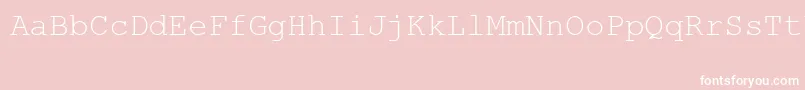 MsLinedrawRegular-Schriftart – Weiße Schriften auf rosa Hintergrund