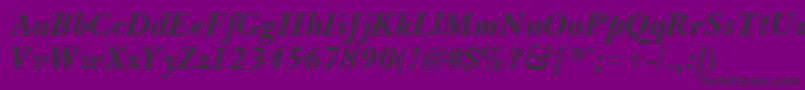 BassetBoldItalic Font – Black Fonts on Purple Background