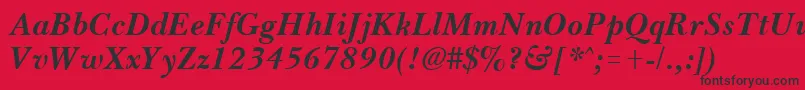 BassetBoldItalic Font – Black Fonts on Red Background