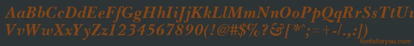 BassetBoldItalic Font – Brown Fonts on Black Background