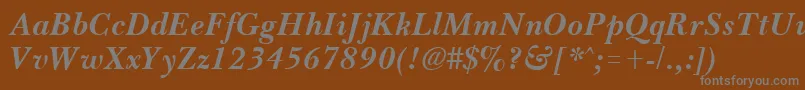 BassetBoldItalic Font – Gray Fonts on Brown Background
