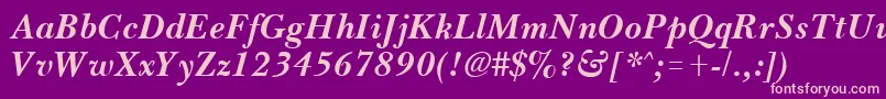 BassetBoldItalic Font – Pink Fonts on Purple Background