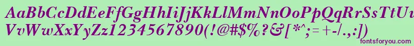 BassetBoldItalic Font – Purple Fonts on Green Background