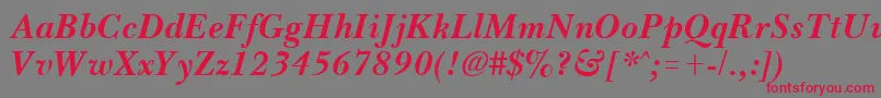 BassetBoldItalic Font – Red Fonts on Gray Background