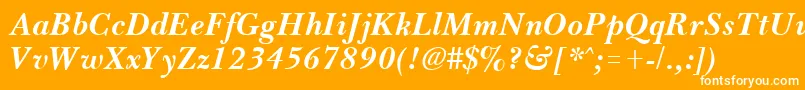 BassetBoldItalic Font – White Fonts on Orange Background