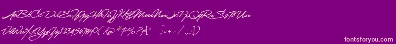 Lhfstanfordscript-Schriftart – Rosa Schriften auf violettem Hintergrund