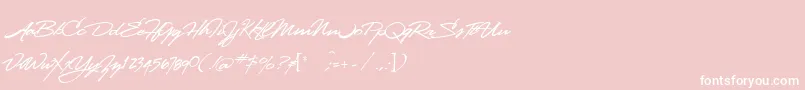 フォントLhfstanfordscript – ピンクの背景に白い文字