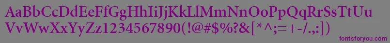 MinionCyrillicSemibold-Schriftart – Violette Schriften auf grauem Hintergrund
