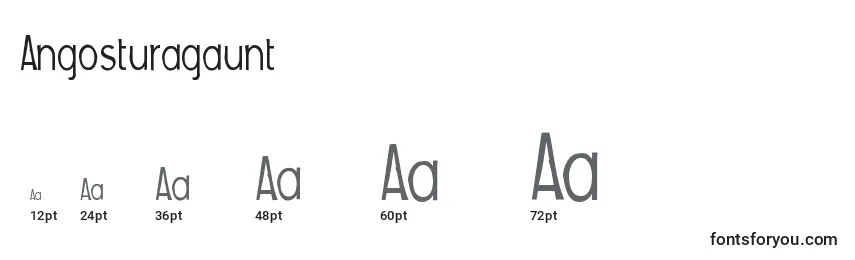 Размеры шрифта Angosturagaunt