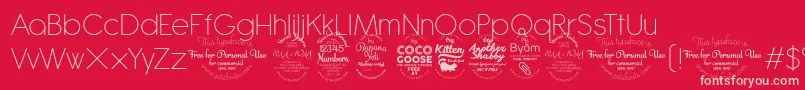 AntipastoExtralighttrial Font – Pink Fonts on Red Background