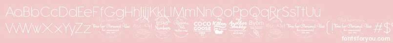 AntipastoExtralighttrial Font – White Fonts on Pink Background