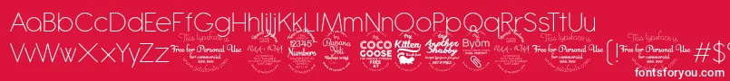AntipastoExtralighttrial Font – White Fonts on Red Background