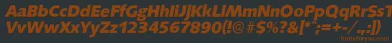 SaxonyserialXboldItalic-fontti – ruskeat fontit mustalla taustalla