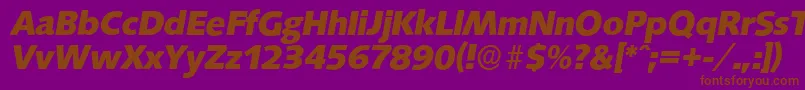 Czcionka SaxonyserialXboldItalic – brązowe czcionki na fioletowym tle