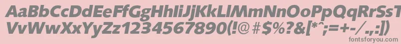 フォントSaxonyserialXboldItalic – ピンクの背景に灰色の文字
