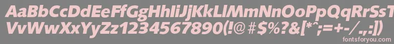 SaxonyserialXboldItalic-fontti – vaaleanpunaiset fontit harmaalla taustalla