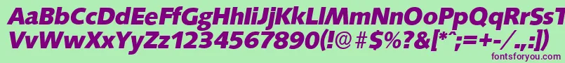 SaxonyserialXboldItalic Font – Purple Fonts on Green Background