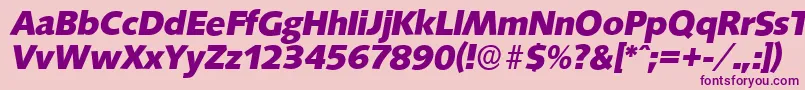 SaxonyserialXboldItalic-fontti – violetit fontit vaaleanpunaisella taustalla