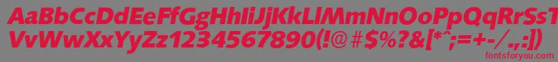 Шрифт SaxonyserialXboldItalic – красные шрифты на сером фоне