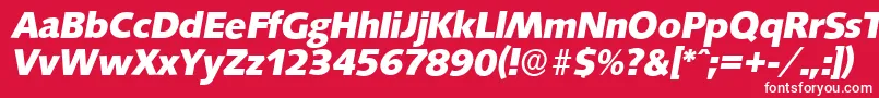 SaxonyserialXboldItalic-fontti – valkoiset fontit punaisella taustalla