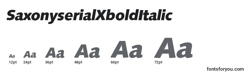 Размеры шрифта SaxonyserialXboldItalic